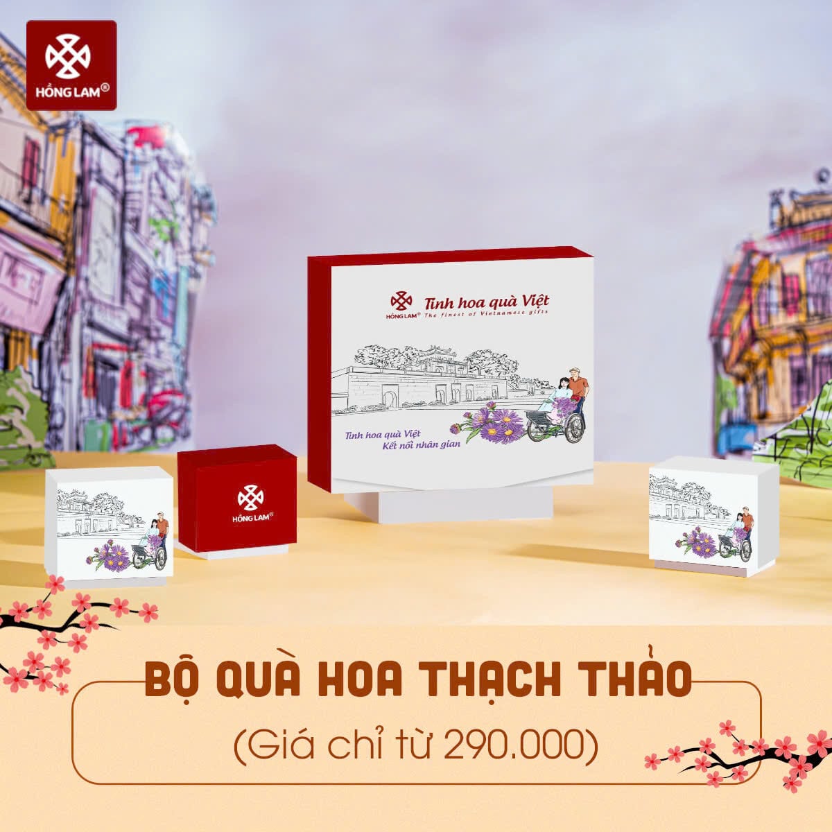 bộ quà tết 2025 hoa thạch thảo