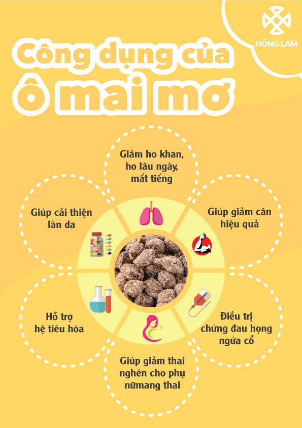 Tác Dụng Của Ô Mai