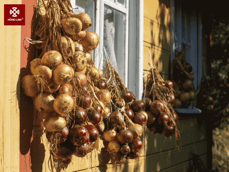 phong-tuc-don-tet-duong-lich