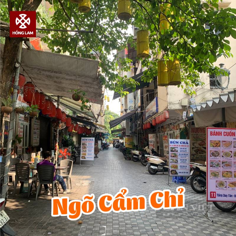 Ngõ Cẩm Chỉ - Tống Duy Tân