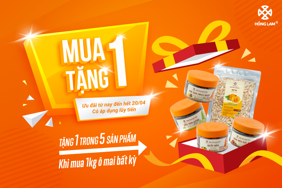 Mua 1 Tặng 1 Ăn Vặt Thả Ga Với ô Mai Ngon Miễn Chê 8020