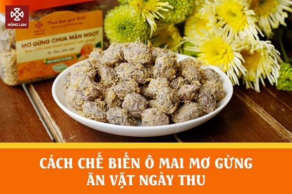 Lợi Ích Của Ô Mai Mơ Gừng