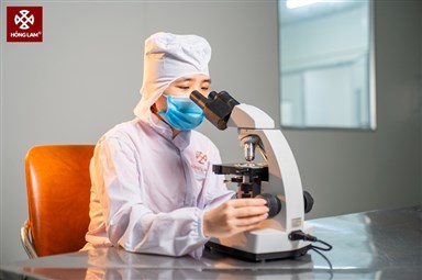 Trải Nghiệm Thăm Quan Nhà Máy Sản Xuất Của Hồng Lam