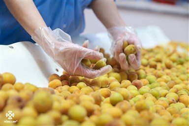 4 khúc tinh hoa cùng mùa quả tươi Hồng Lam