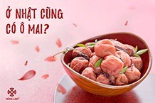 Ở Nhật cũng có ô mai? 