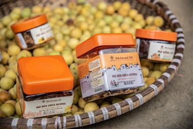 Tản mạn Một thoáng Hà Nội cùng Ô mai Hồng Lam