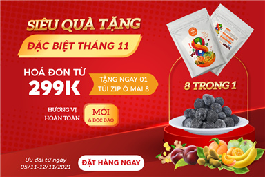 Siêu quà tặng đặc biệt - Hoá đơn từ 299K tặng ngay 1 túi zip ô mai 8