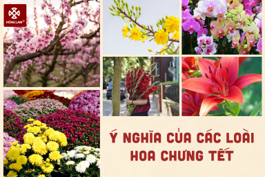 Tìm hiểu ý nghĩa của các loài hoa chưng Tết
